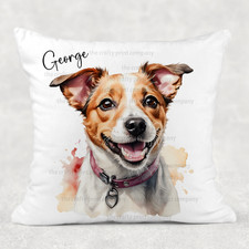 Jack Russell Terrier