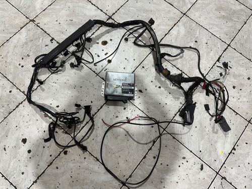 Engine wiring loom - , ecu