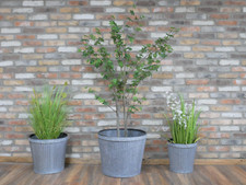 Set Of 3 Galvanised Metal Zinc Tub Planters Large Round Dolly Garden Drum Pots