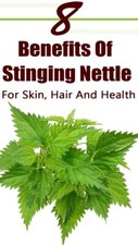NETTLE LEAF 200MG WHOLESALE