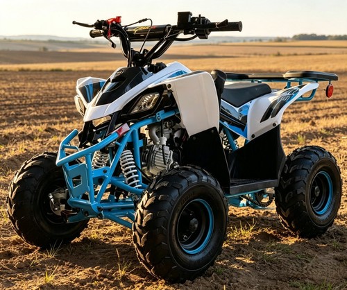 Off road 125cc atv quad - 125cc,