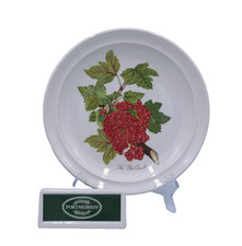 Portmeirion POMONA Red Currant Dinner Plate(s) EXCELLENT!