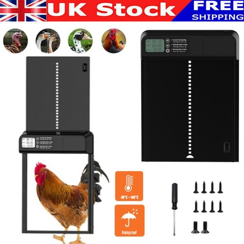 Automatic chicken coop - chicken,