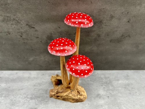 Wooden toadstool mushroom - toadstool,