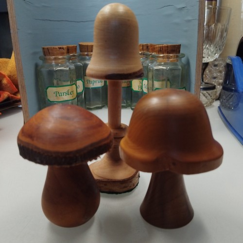 Wooden carved mushrooms - x,
