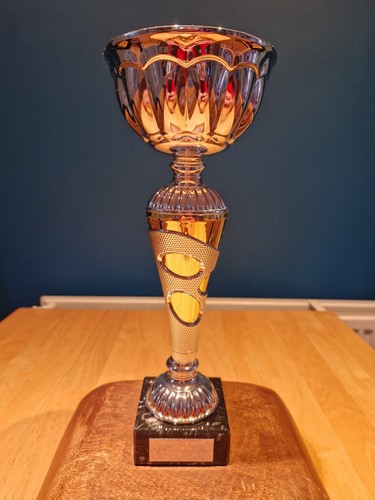 Large 305mm tall silver legacy - large,