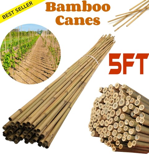 5ft bamboo garden canes - bamboo,
