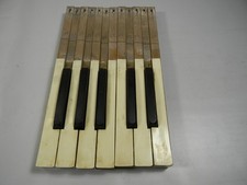 1890s ? Pump Organ Keys , 1