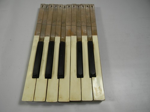1890s pump organ keys 1 - organ,