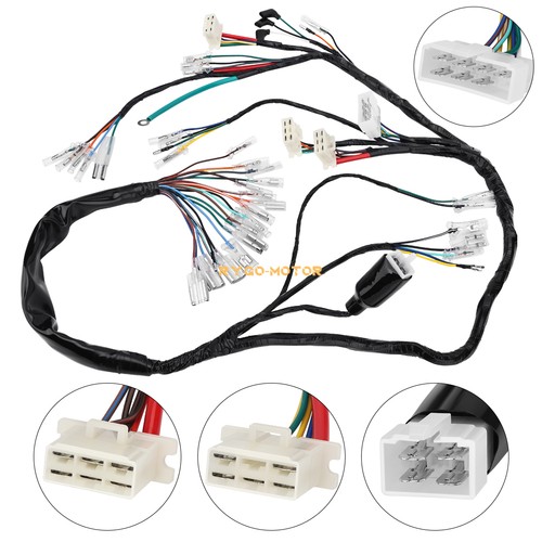 Main wiring harness - harness,