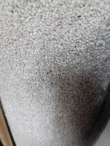 Cheap great quality - quality, carpet