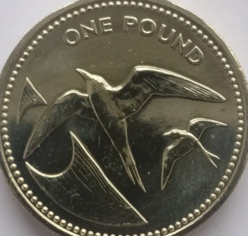 Helena ascension coin - &,