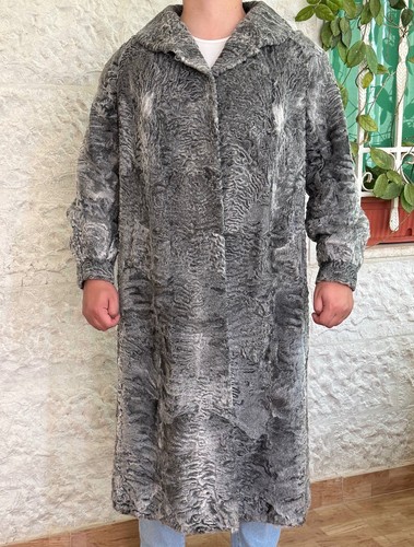 Vintage grey persian - vintage,