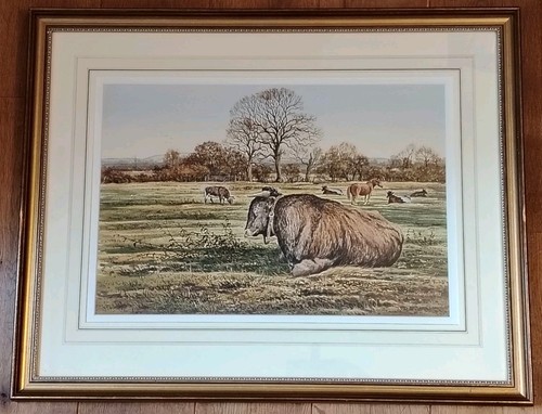 Original watercolour painting - original,