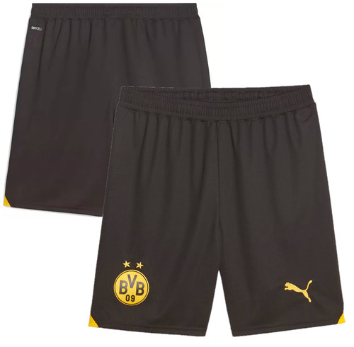 Borussia dortmund football - borussia,
