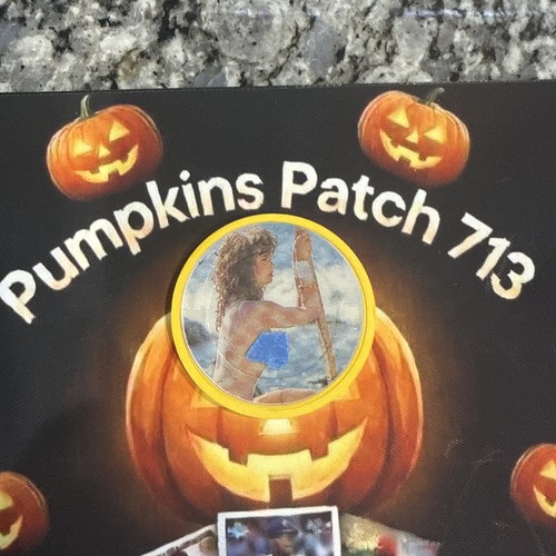 Paulson poker chips vintage - paulson,