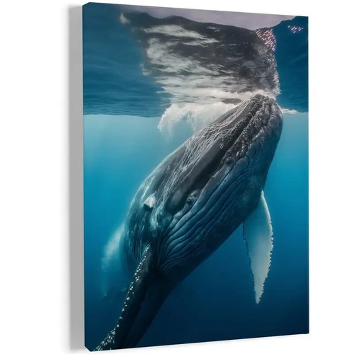 Gentle giants grey whale - grey,
