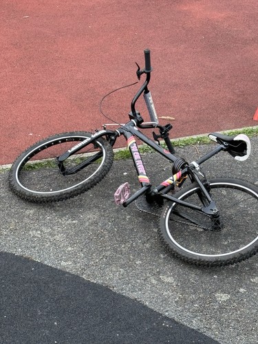 Cal flyer bmx freestyle - flyer,