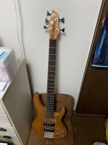 Washburn string electric - washburn,