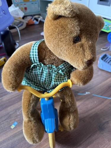 Vintage teddy bike - a,