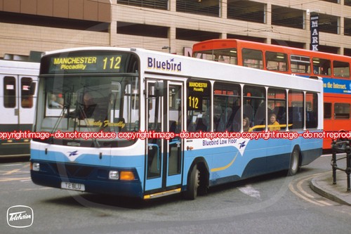 Bus photo bluebird - -,