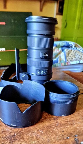 Sigma 500mm 3 apo dg - 50-500mm,