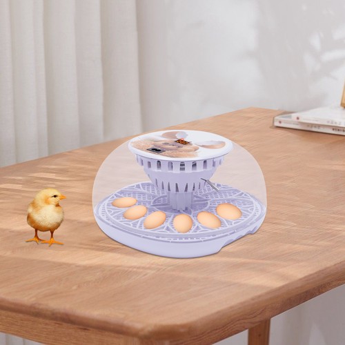 Eggs electric incubator - 12,