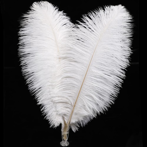 White ostrich feathers - feathers, bulk