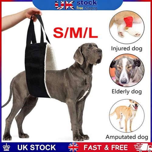 Pets dog mobility aids - pets, support