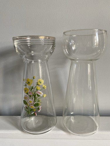 Vintage hyacinth bulb - 1,