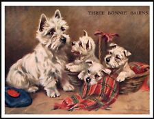 WESTIE WEST HIGHLAND WHITE TERRIER & PUPS VINTAGE STYLE DOG ART PRINT POSTER