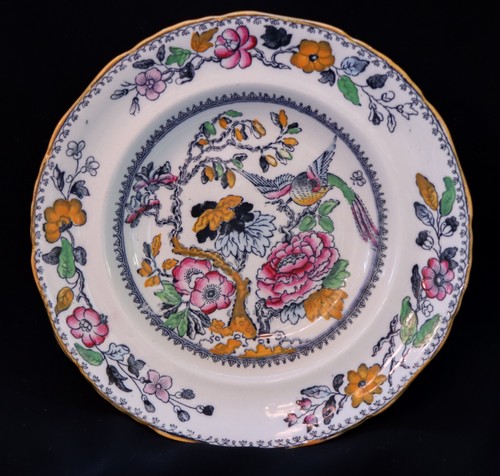 Ashworth bros hanley bird - ashworth,