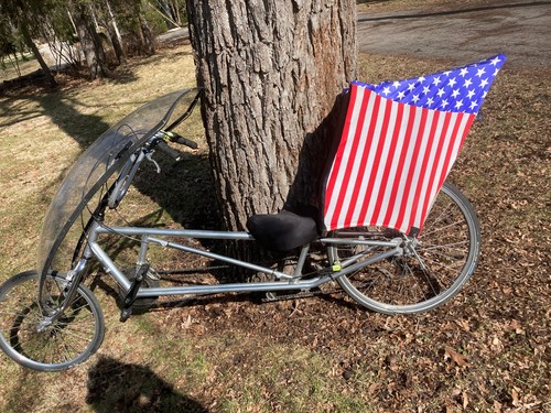 Easy racers recumbent bike - easy,