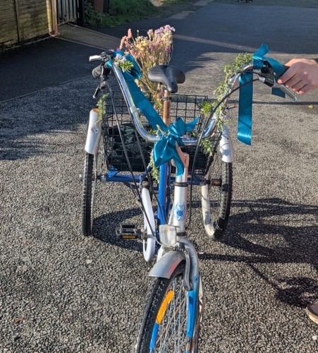 Tricycle adult used - adult,