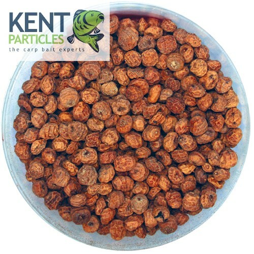 Large dry tiger nuts - dry,