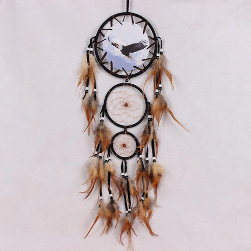 Eagle bear dream - or, catcher