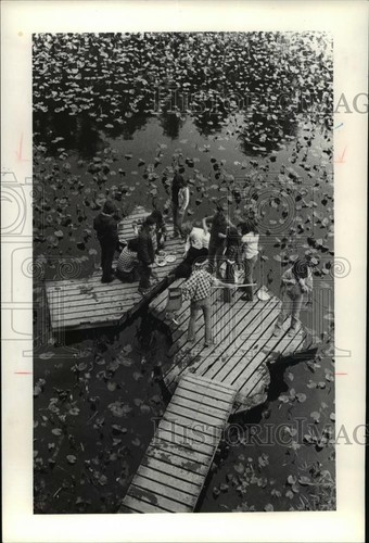 1980 press photo the picnic - photo,
