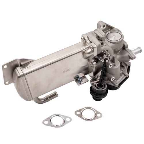 Exhaust gas outlet egr valve - exhaust,