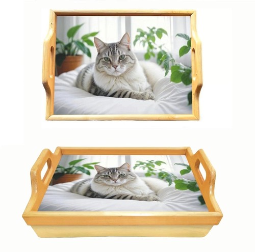 Wooden lap tray - lap, with