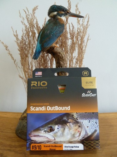 Rio elite scandi - elite,