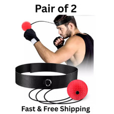 Pair of Boxing Fight Ball