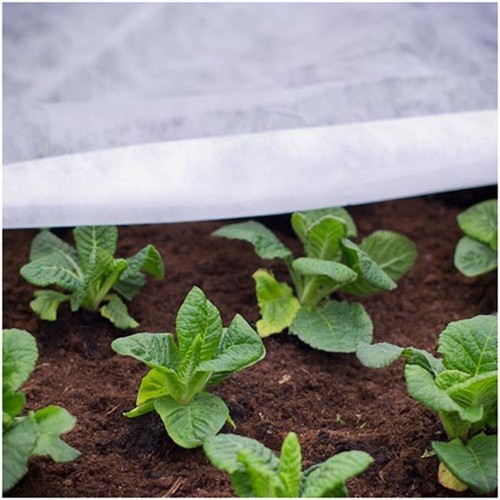 Winter plant cold protection - cold,