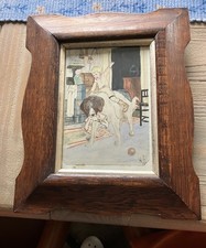 St Bernard Boy Playing In