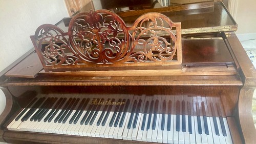 Bluthner grand piano - grand, ornate