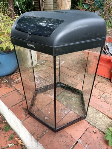 Aquael hexagon fish tank - aquael, and