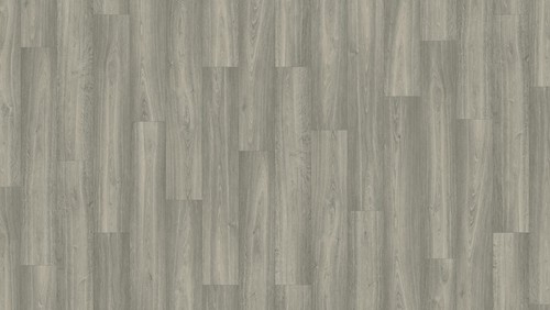 Bonsai oak slate - vinyl, by
