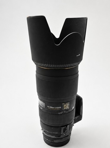 Sigma 200mm apo ex dg - apo,
