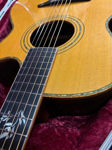 Furch g25 cut acoustic - cut,
