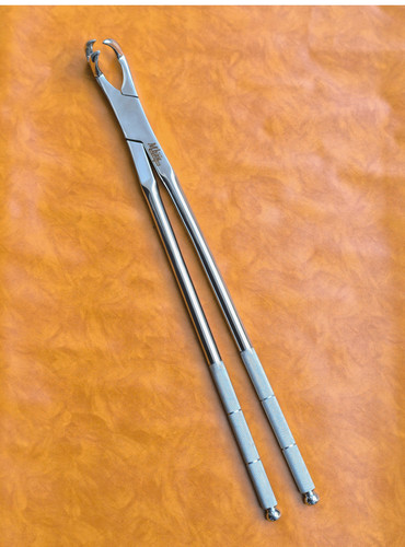 Three prong side equine - three,