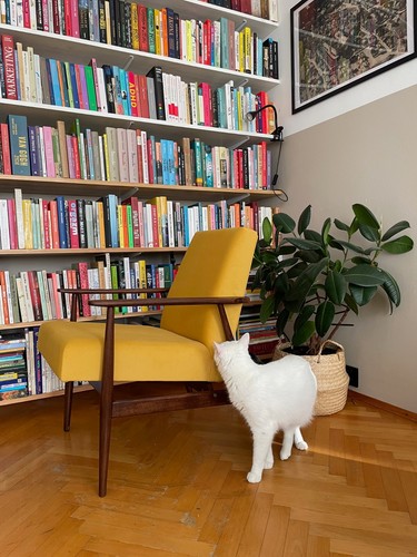 Mid century yellow velvet - century,